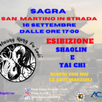 Esibizione Tai Chi e Shaolin