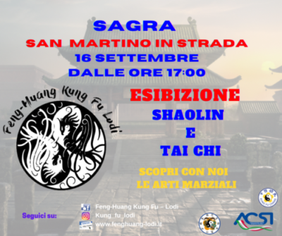 Esibizione Tai Chi e Shaolin